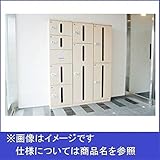 新協和　カーゴボックス　ダイヤル錠　SK-CBX-105-ＡＶ　【集合住宅用宅配ボックス】 アイボリー