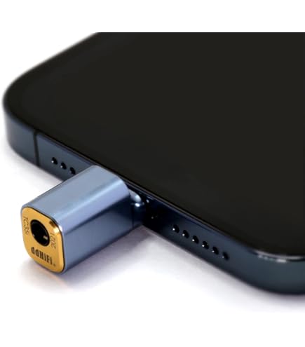Amazon.co.jp: Linsoul DDHIFI MFi09S L to USB-C OTG Nyx