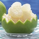 国華園　果樹苗　カンキツ　オロブロンコ　1株【※発送が国華園からの場合のみ正規品です】