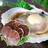 ほたて 6kg 活ほたて 青森県産【新鮮！】青森県陸奥湾産 ほたて 6kg ホタテ【チルド便】