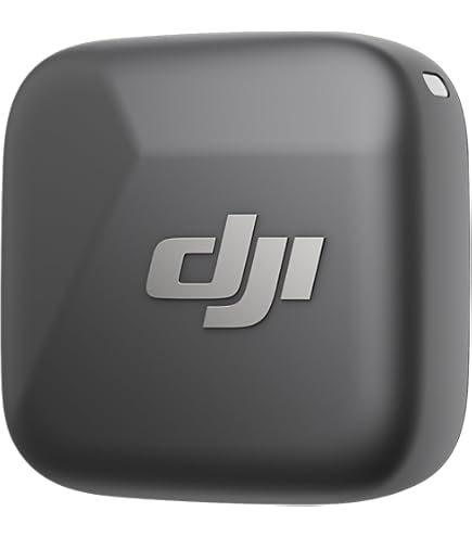 Amazon | WWinBridge 60W ハンドヘルドマイク ポータブル拡声器 2つの