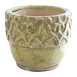 COVENT GARDEN マスターラウンドポット QJ-41