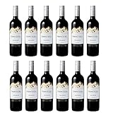 【2022年「世界で最も称賛されるワインブランド」受賞】コンチャ・イ・トロ フロンテラ シラーズ [ 750ml×12本 ]