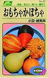 カネコ種苗 草花タネ012 おもちゃかぼちゃ 10袋セット