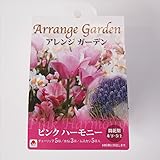 初心者向き球根セット アレンジガーデン ピンクハーモニー （チューリップ・ムスカリミックス） 13球入