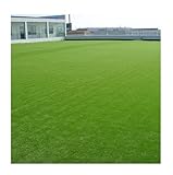 1500 PCs Seeds Lawn Grass High Quality China lawn grass seeds.