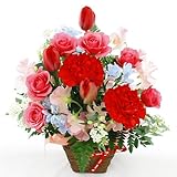 3月のアレンジ・エクセラ 【毎月のお誕生花を使用したアレンジメント お誕生日・お祝いに】