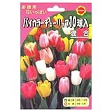 秋植え球根 お徳用 バイカラーチューリップ10球入混合 (540309)