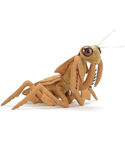 Amazon.co.jp: lilizzhoumax 葉の裏にあるカマキリのぬいぐるみ