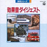 ���ʉ��_�C�W�F�X�g