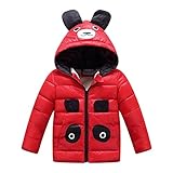 Kayiyasu カイヤス 子どもダウンコート キッズ ダウンジャケット フード付き ベビー 男女兼用 裏起毛 021-xzh-1711(100cm レッド )