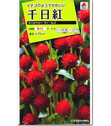 Amazon | アタリヤ農園 ガーデニング用品 種 ストロベリーフィールド