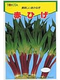赤ひげ　トキタの赤ネギ種です
