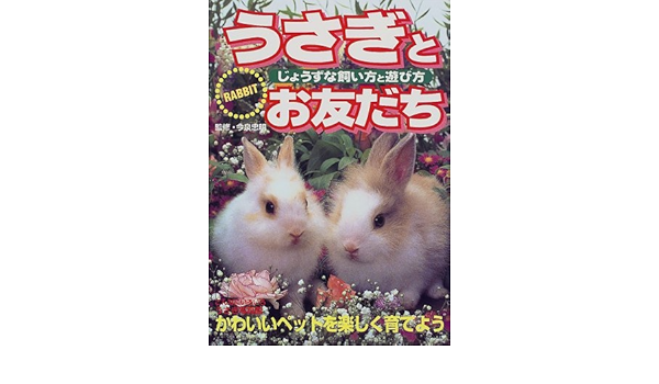 うさぎとお友だち じょうずな飼い方と遊び方 忠明 今泉 主婦の友社 本 通販 Amazon