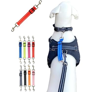 Amazon.co.jp 最新リリース: 犬用首輪・ハーネス・リード の新着