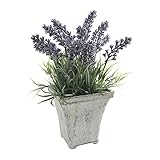 COVENT GARDEN ラベンダースクエアポット TG-13