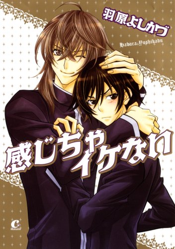 『感じちゃイケない』