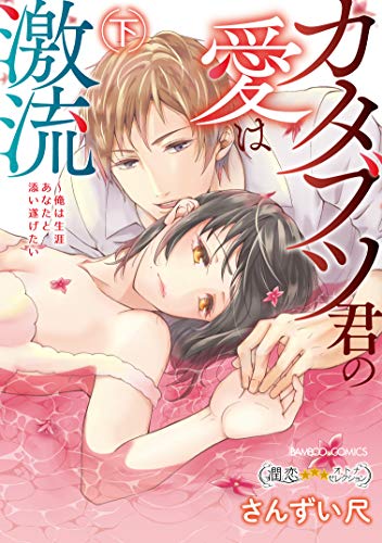 『カタブツ君の愛は激流~俺は生涯あなたと添い遂げたい~』