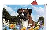 ボクサーFawn Uncropped – Best of Breed Dog Breedメールボックスカバー