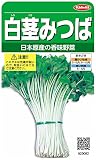 サカタのタネ 実咲野菜3082 白茎みつば 10袋セット 10袋セット