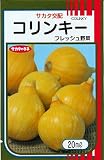 サカタのタネ　カボチャ　コリンキー　20ml