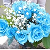 水色のバラの花束　アクア バラ10本＆カスミ草、グリーン付き バラの花束　【生花】【お祝い・記念日・誕生日・フラワーギフト・バラ】