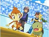 ヒコザルVSザングース！運命のバトル！！