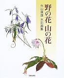 野の花 山の花―外山康雄水彩画集