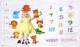 ベビーマンスリーマイルストーン ブランケット 女の子 男の子用 新生児 幼児 1年目の写真用 大型 プレミアムベビーブランケット エクストラプラッシュ ソフト
