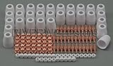 130pcs PT-31 LG40 Air Plasma Cutter Torch Consumables KIT 30/40A CUT-40/50 CT312 [並行輸入品]