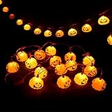 cyndie　ハロウィン　カボチャ　スケルトン　LED七色の花串灯　お庭に灯りの演出を！LEDガーデン　屋外照明　車道/歩道/芝生/庭などに適用　クリスマス、パーティー