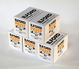 ILFORD PANF PLUS 50 白黒フィルム 35mm 36枚（5本セット）