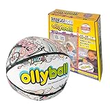 ラングスジャパン(RANGS) オリーボール USAトイオブザイヤー受賞 室内用 直径30cm accredited STEAM TOY ユニバーサルスポーツにも