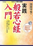 実践般若心経入門: 体で感じとる「色即是空」の智慧 (わたしの家の宗教シリーズ)