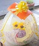バルーンフラワー 星柄 イエロー オレンジ 系 （ 生花 が バルーン の中に入ったバルーン フラワー ) サプライズ ギフト