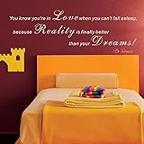 Pop Decors WL-0028-Vb Inspirational Quote Wall Decal You Know You're in Love [並行輸入品]