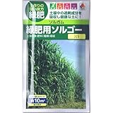 ソルガム 種子 タキイ種苗 緑肥用ソルゴー （およそ10ｍ2分) 60ml