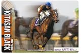 サラブレッドホースコレクション ツインウエハース [7．キタサンブラック 第156回天皇賞(秋)(G1)] 単品