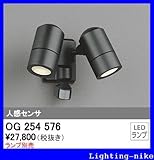 オーデリック　エクステリアライト 【OG 254 576】【OG254576】