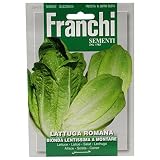 野菜の種 ロメインレタス BIONDA LENTISSIMA A MONTARE 84/13