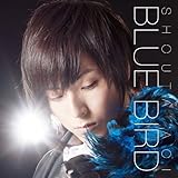 ブルーバード(初回限定盤)(DVD付)