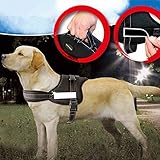 PowerLead 犬用リーシュパッド付きペット用歩行ハーネス犬用ヘビーデューティー