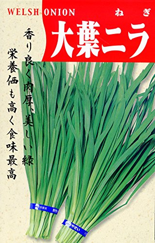 日本タネセンター 大葉ニラ （ニラ） １５ml
