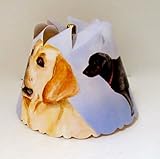 Night Lamp Light Labrador Retriever Dog Spin Shade by Illuminations, Children [並行輸入品]