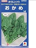 おかめ　　　タキイ種苗のほうれん草種です