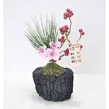炭花壇 アートフラワー 炭 インテリア 置物 (B)
