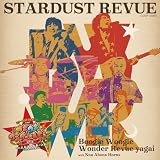 スターダスト☆レビュー TOUR ブギウギ ワンダー☆レビュー　野外編 with んなアホなホーンズ @ 日比谷公園大音楽堂（CD）