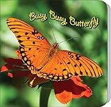 Teacher Created Resources 724561 Busy, Busy Butterfly おもちゃ (並行輸入)