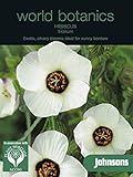 WB 英国ジョンソンズシード Johnsons Seeds world botanics collection Hibiscus trionium ヒビスカス・トリオニウム