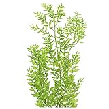 ラスカス ブリザードブド ライムグリーン 76-3560-721